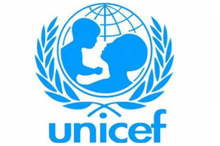 Struktur Organisasi UNICEF - Lentera Bisnis